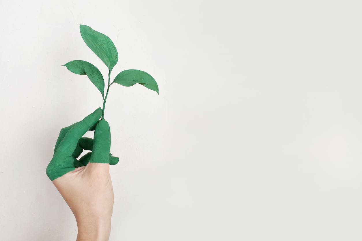 Sustainable Health and Safety Practices: Aligning with Environmental Goals